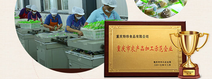 特珍食品 特珍食品