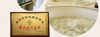 特珍食品 特珍食品